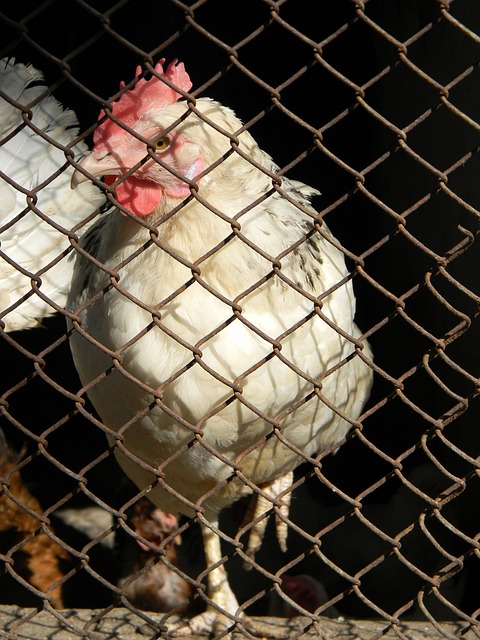 就在今天，詹姆斯触底反弹，创79年NBA前所未见纪录.