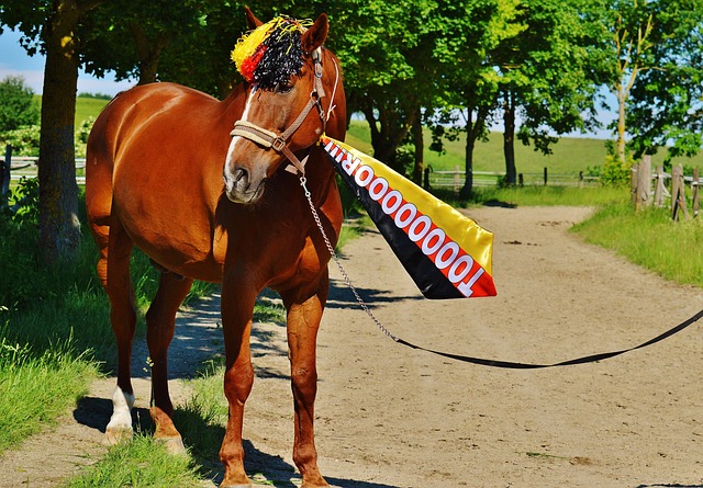 除了阿布德 除了阿布德