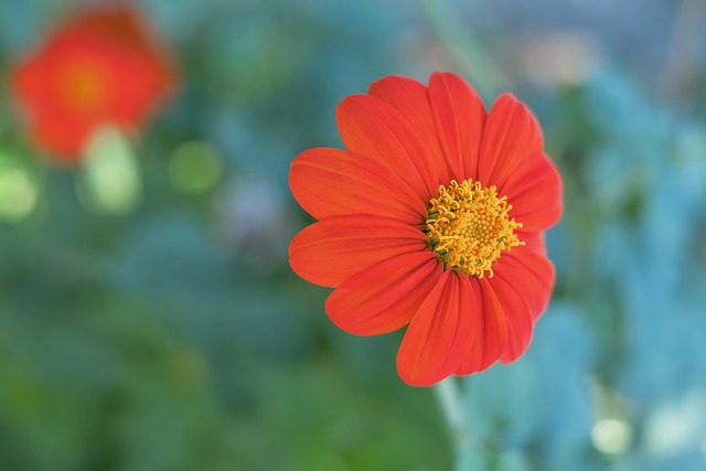 更要全面重 更要全面重