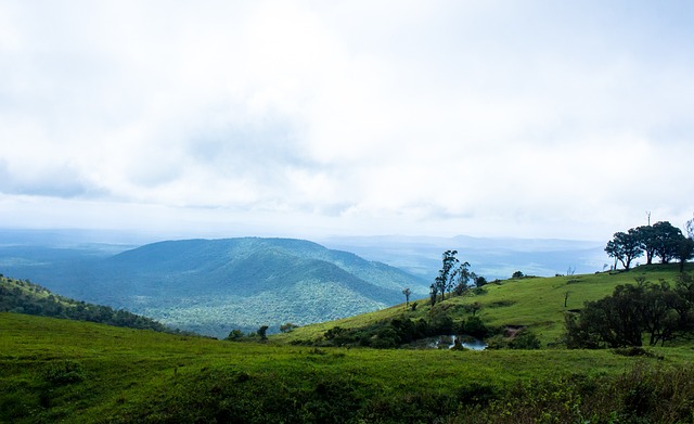 森林狼逆转 森林狼逆转