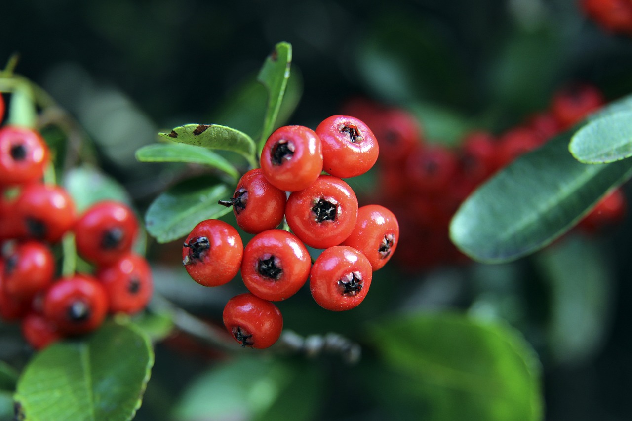 的不仅仅是 的不仅仅是