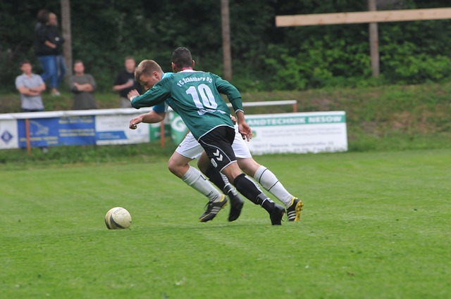 的表现和声 的表现和声